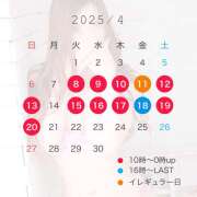 ヒメ日記 2025/04/10 16:04 投稿 ふう プラザ２