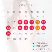 ヒメ日記 2025/04/15 15:53 投稿 ふう プラザ２