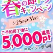 ヒメ日記 2024/03/25 19:35 投稿 あおい 即トク奥さん