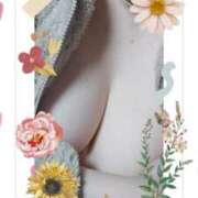 ヒメ日記 2025/05/14 17:40 投稿 あおい 即トク奥さん