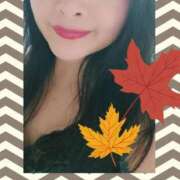 ヒメ日記 2025/12/06 23:41 投稿 あおい 即トク奥さん