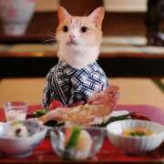 まりあ おはようございます 美魔女倶楽部