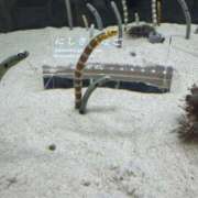 ヒメ日記 2024/12/25 16:56 投稿 城東かなえ 奴隷志願！変態調教飼育クラブ本店