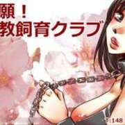 ヒメ日記 2025/04/02 17:19 投稿 城東かなえ 奴隷志願！変態調教飼育クラブ本店