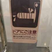 ヒメ日記 2025/04/11 19:01 投稿 城東かなえ 奴隷志願！変態調教飼育クラブ本店