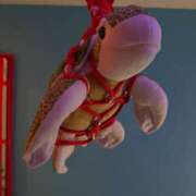 ヒメ日記 2025/07/17 16:08 投稿 城東かなえ 奴隷志願！変態調教飼育クラブ本店