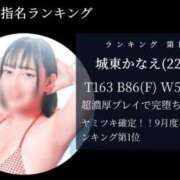 ヒメ日記 2025/10/01 12:13 投稿 城東かなえ 奴隷志願！変態調教飼育クラブ本店