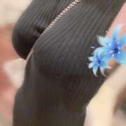 とうか 完 CECIL