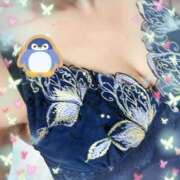 ヒメ日記 2026/02/20 19:01 投稿 あずさ 柏人妻花壇