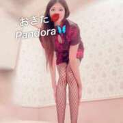 ヒメ日記 2025/11/12 07:45 投稿 沖田 パンドラ（吉原）