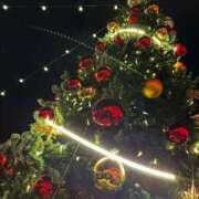 ヒメ日記 2024/12/15 15:31 投稿 シホ ラブコレクション