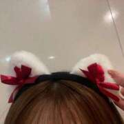 ヒメ日記 2024/12/23 21:46 投稿 シホ ラブコレクション