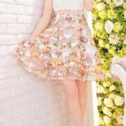 ヒメ日記 2024/12/24 06:16 投稿 シホ ラブコレクション