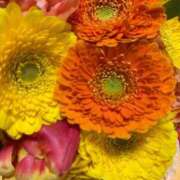 ヒメ日記 2025/01/29 09:31 投稿 シホ ラブコレクション