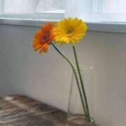 ヒメ日記 2025/05/11 15:16 投稿 シホ ラブコレクション