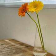 ヒメ日記 2025/06/17 19:01 投稿 シホ ラブコレクション