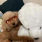 ヒメ日記 2025/06/20 19:16 投稿 シホ ラブコレクション