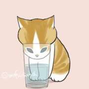 ヒメ日記 2025/06/29 04:31 投稿 シホ ラブコレクション