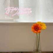 ヒメ日記 2025/09/22 18:17 投稿 シホ ラブコレクション