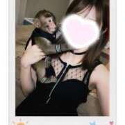 ヒメ日記 2025/11/05 19:31 投稿 シホ ラブコレクション