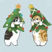 ヒメ日記 2025/12/03 16:16 投稿 シホ ラブコレクション