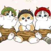 ヒメ日記 2026/02/01 20:01 投稿 シホ ラブコレクション