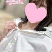 ヒメ日記 2026/02/03 23:16 投稿 シホ ラブコレクション