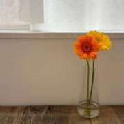 ヒメ日記 2026/04/05 17:16 投稿 シホ ラブコレクション