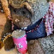 ヒメ日記 2025/11/05 12:30 投稿 河谷麻美 五十路マダム姫路店