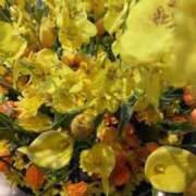 ヒメ日記 2026/01/10 17:44 投稿 河谷麻美 五十路マダム姫路店