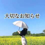 ヒメ日記 2024/05/22 16:01 投稿 しき　奥様 SUTEKIな奥様は好きですか?