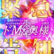 ヒメ日記 2026/04/04 12:53 投稿 しおり ドMな奥様 京都店