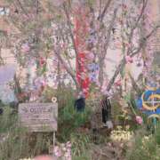 ヒメ日記 2026/03/28 17:45 投稿 みこ 丸妻 厚木店