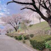 ヒメ日記 2026/04/05 11:34 投稿 みこ 丸妻 厚木店