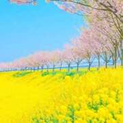 ヒメ日記 2026/04/05 16:03 投稿 ももか アイムシェイク