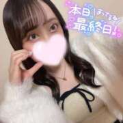 ヒメ日記 2025/01/07 11:49 投稿 みあ アネックスジャパン