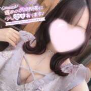 ヒメ日記 2025/02/04 14:09 投稿 みあ アネックスジャパン