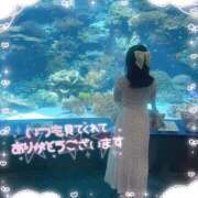 ヒメ日記 2025/08/29 11:29 投稿 みあ アネックスジャパン