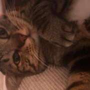 ヒメ日記 2025/08/12 09:43 投稿 あいな 府中ダービー