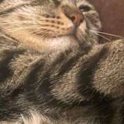 ヒメ日記 2025/08/20 09:43 投稿 あいな 府中ダービー