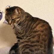 ヒメ日記 2025/09/06 00:43 投稿 あいな 府中ダービー