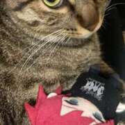 ヒメ日記 2025/09/08 09:43 投稿 あいな 府中ダービー