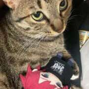 ヒメ日記 2025/09/10 00:43 投稿 あいな 府中ダービー