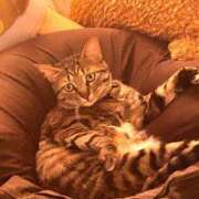 ヒメ日記 2025/09/10 09:43 投稿 あいな 府中ダービー