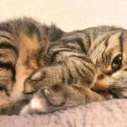 ヒメ日記 2025/09/10 11:53 投稿 あいな 府中ダービー