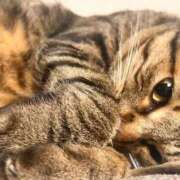 ヒメ日記 2025/09/10 16:23 投稿 あいな 府中ダービー