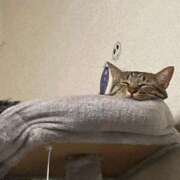 ヒメ日記 2025/10/08 09:43 投稿 あいな 府中ダービー