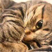 ヒメ日記 2025/10/08 12:23 投稿 あいな 府中ダービー