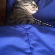 ヒメ日記 2025/10/10 14:57 投稿 あいな 府中ダービー