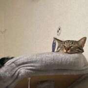 ヒメ日記 2025/10/23 23:13 投稿 あいな 府中ダービー